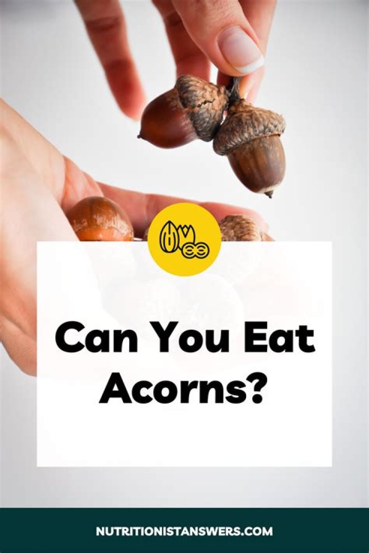 Are acorns healthy for you?