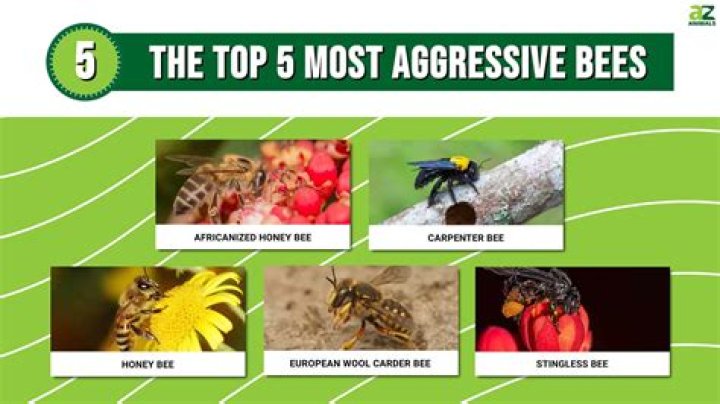 Are any bees aggressive?