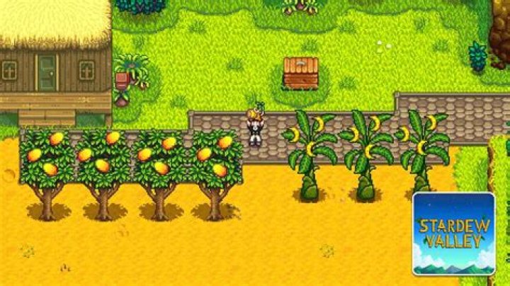 Are apple trees worth it in Stardew Valley?