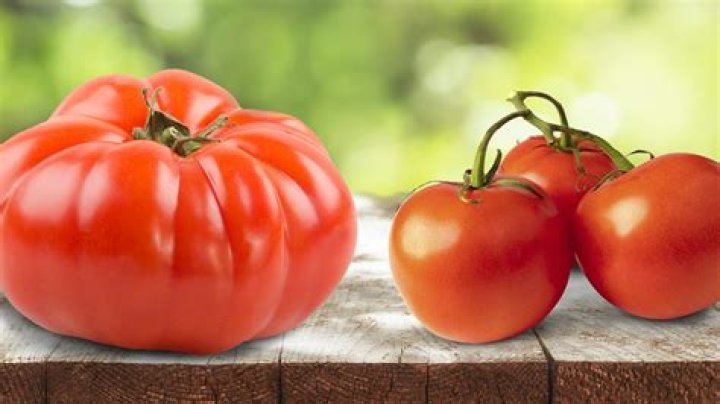 Are Big Boy tomatoes heirloom?