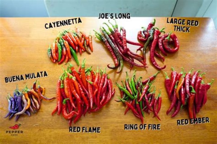 Are birds bothered by cayenne pepper?