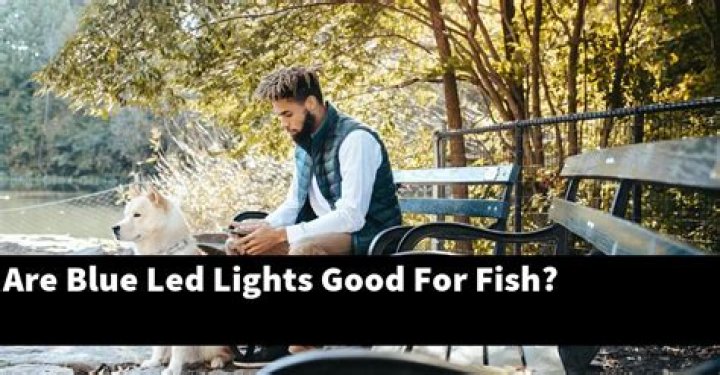 Are blue LED lights good for fish?