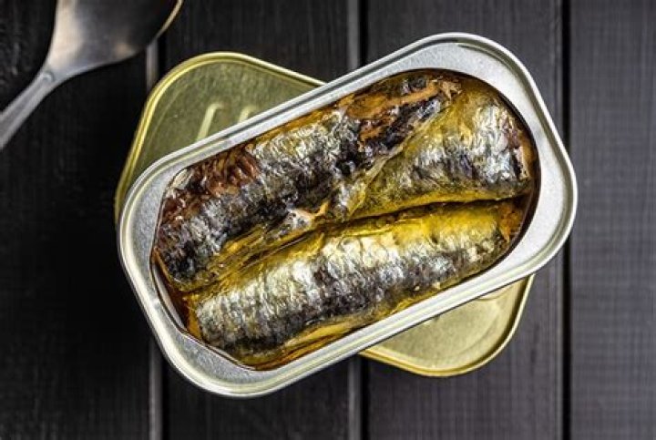 Are canned sardines healthy for dogs?
