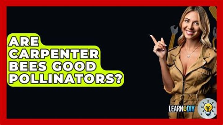 Are carpenter bees good pollinators?