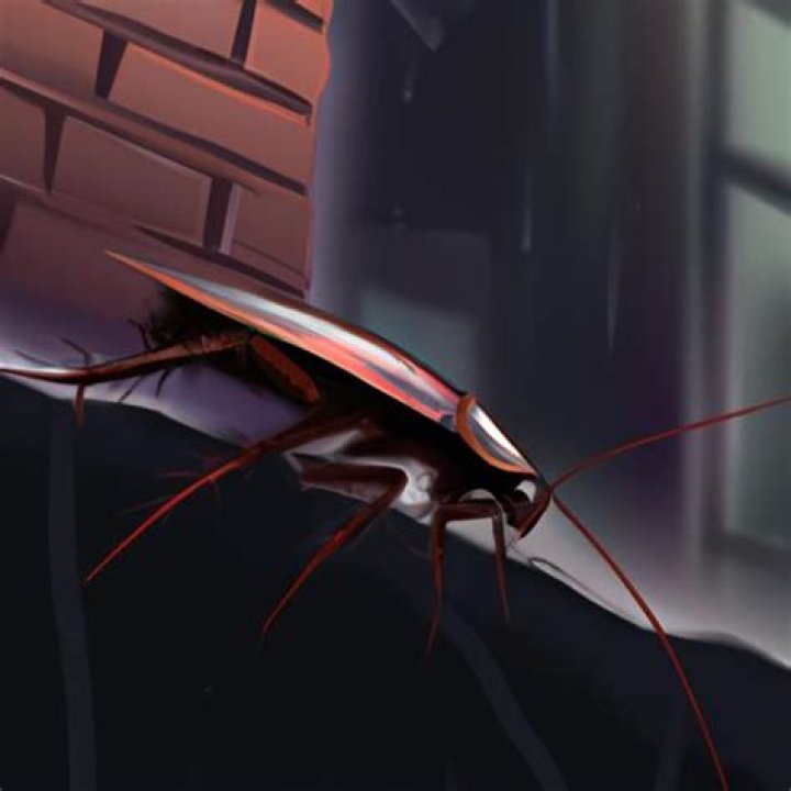 Are cockroaches older than dinosaurs?