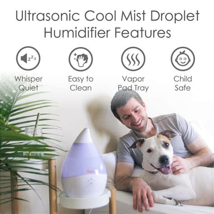 Are cool-mist humidifiers safe?