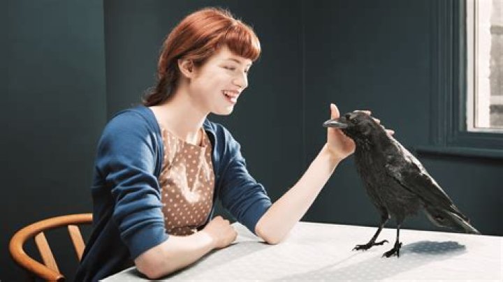 Are crows friendly to humans?