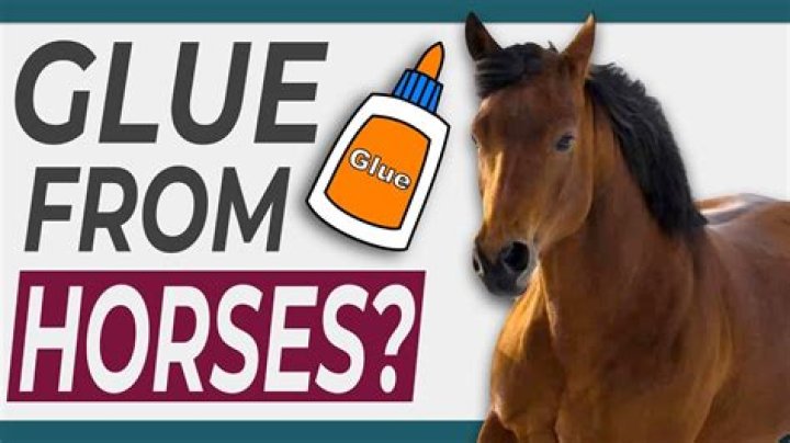 Are dead horses used to make glue?