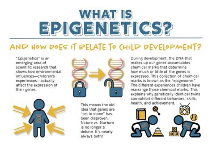 Are epigenetics inherited?
