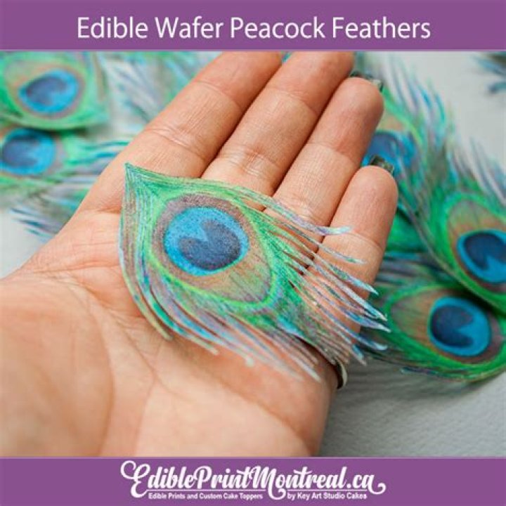 Are feathers edible?