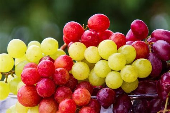Are grapes keto?