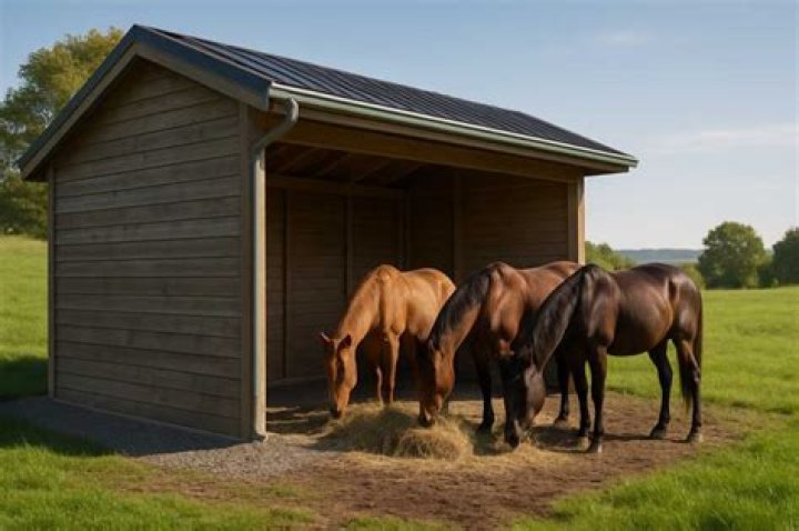 Are horses happier outside?