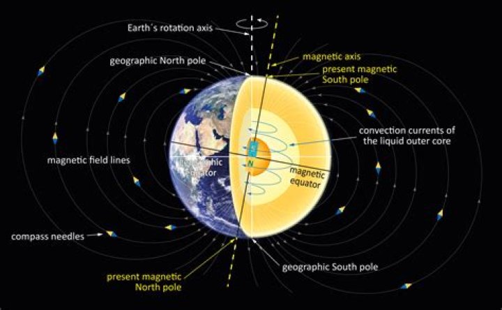 Are humans magnetically charged?
