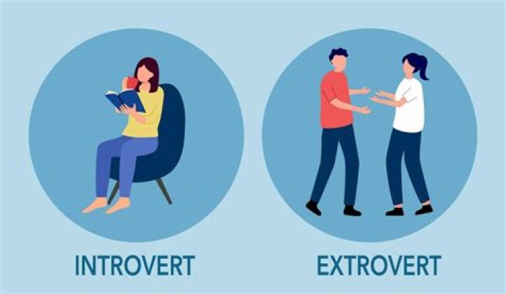 Are introverts risk takers?