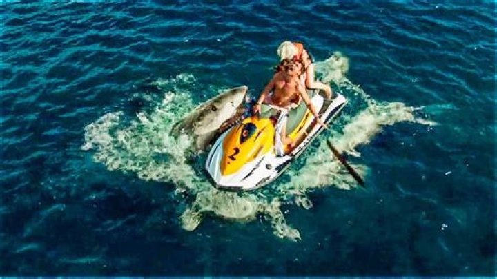 Are jet skis safe from sharks?