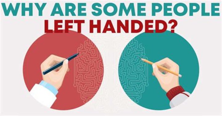 Are left-handed people less intelligent?