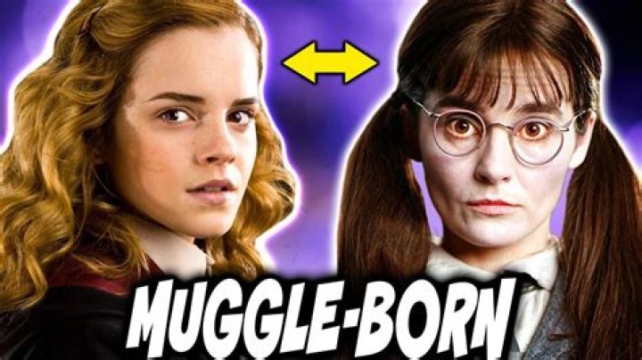 Are Muggle-born wizards rare?
