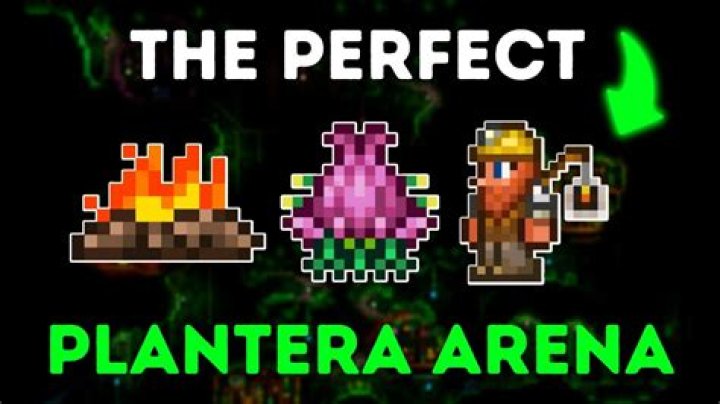Are Paladins post Plantera?