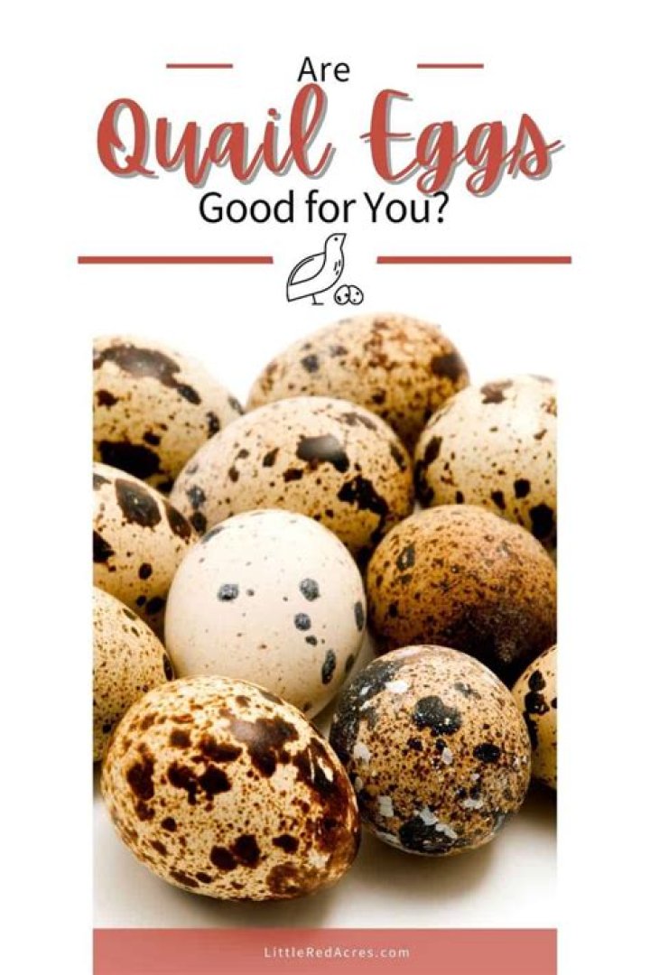 Are quail eggs good for you?