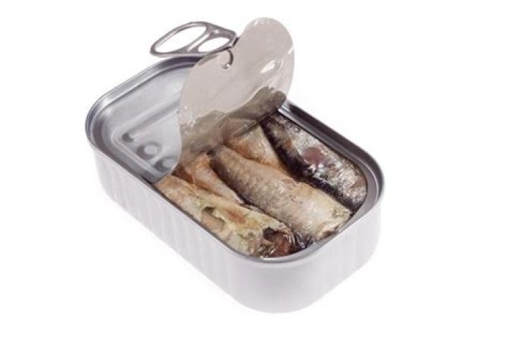 Are sardines kosher?