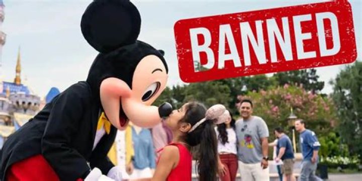 Are selfie Sticks still banned at Disney?