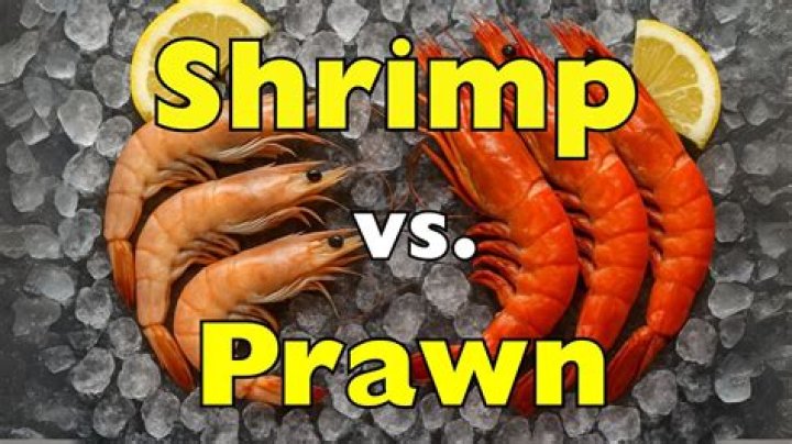 Are shrimps conscious?
