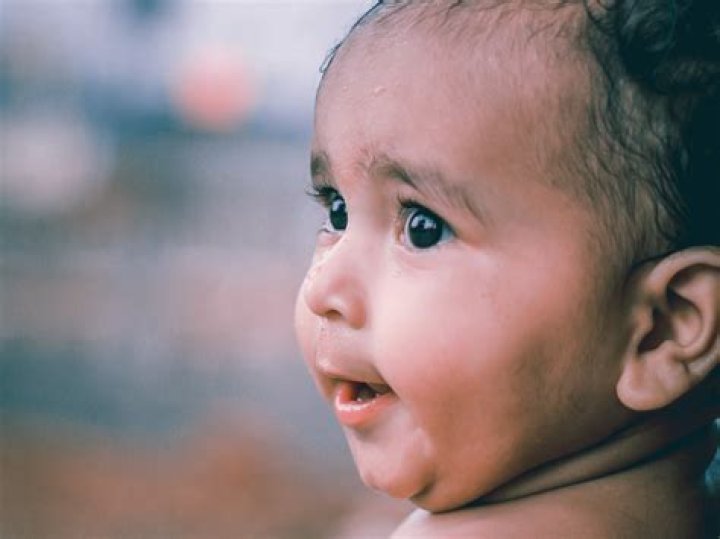 Are skin mites visible to the human eye?