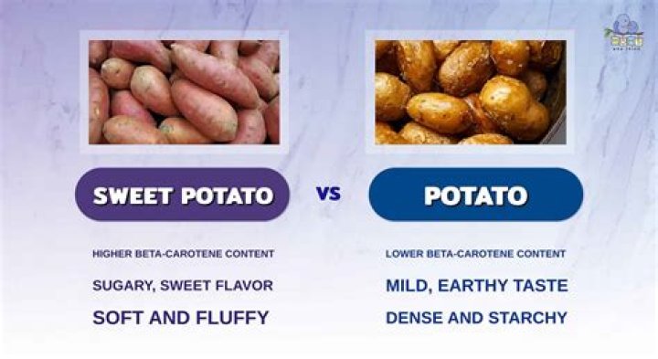 Are small sweet potatoes better?