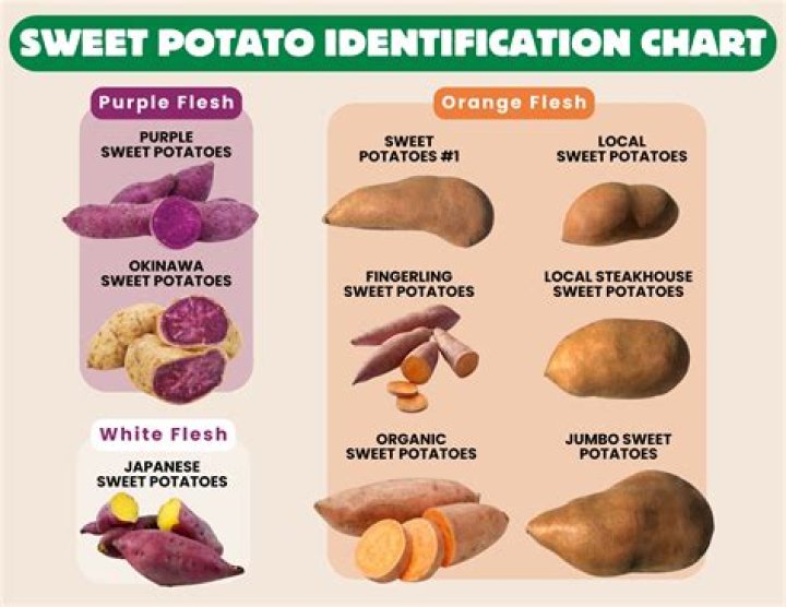 Are sweet potatoes easy on the stomach?