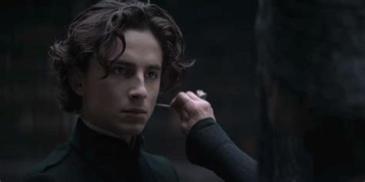 Are the Bene Gesserit witches?