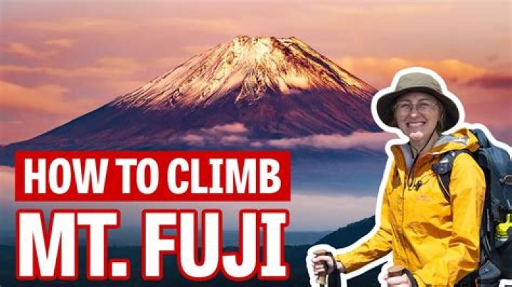 Are there bears in Mount Fuji?