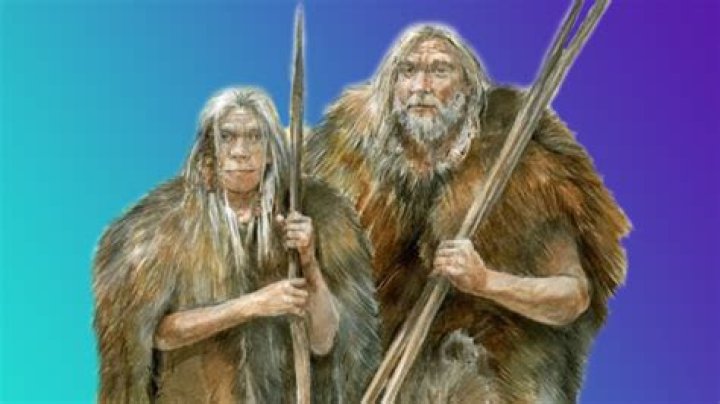 Are there humans in Dune?