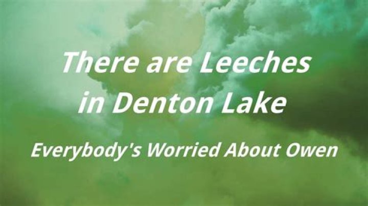 Are there leeches in Lake Tahoe?