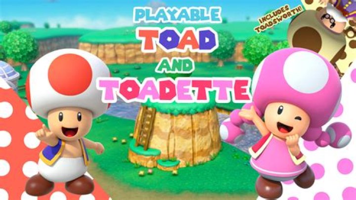 Are Toadette and Toad Twins?