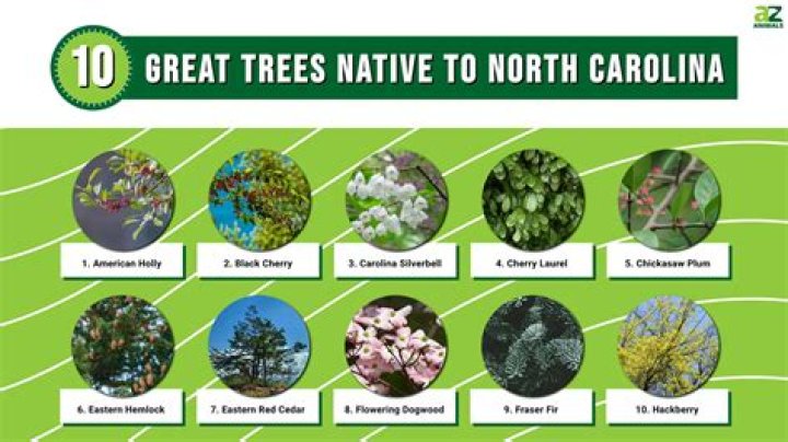 Are trees native to Iowa?