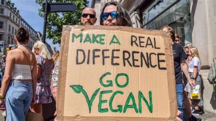 Are vegans against cultured meat?