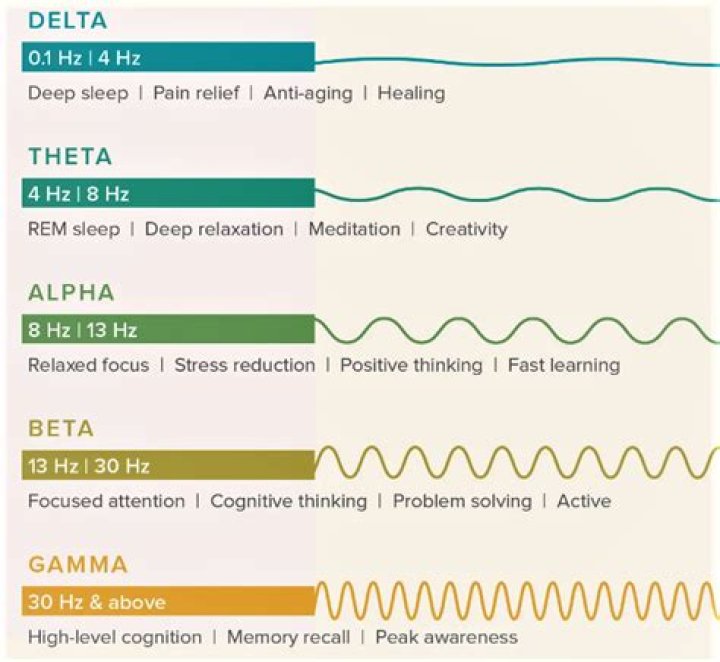 At what frequency do humans vibrate?