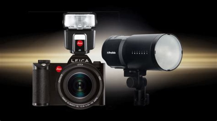 Can a camera flash blind a puppy?