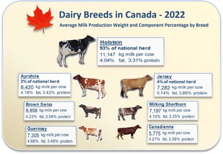 Can a cow breed with a deer?