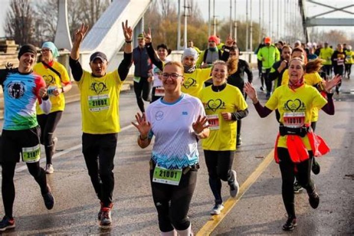 Can a dog run a half marathon?