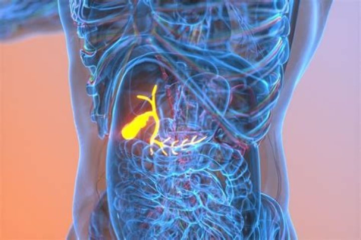 Can a gallbladder grow back?