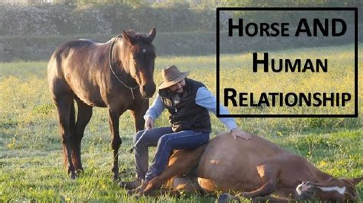 Can a horse tell if a human is pregnant?