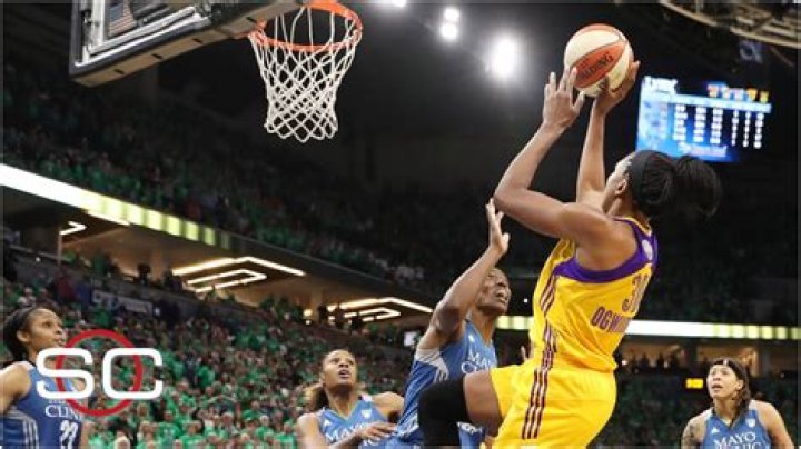 Can a man play in the WNBA?