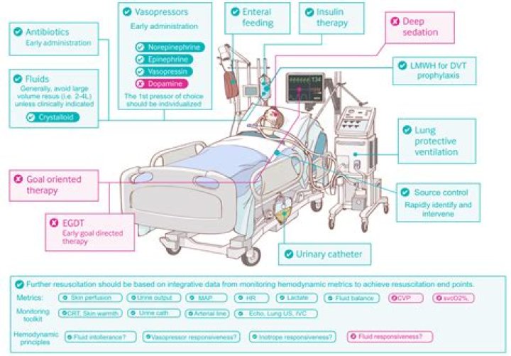 Can a patient survive sepsis?