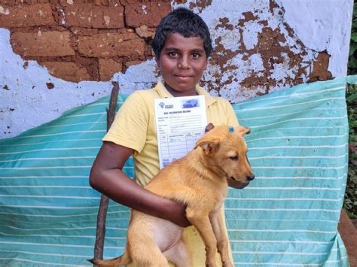 Can a vaccinated dog give you rabies?