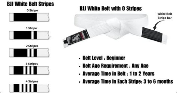 Can a white belt beat a black belt?