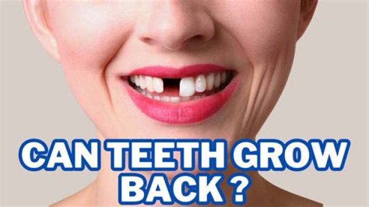 Can adults grow new teeth?