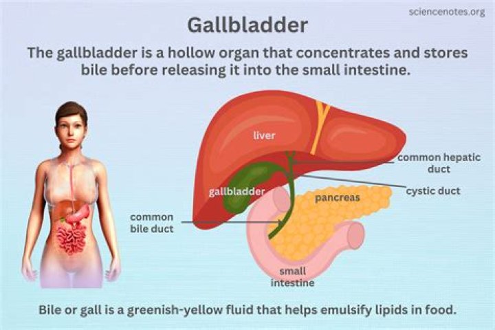 Can an inflamed gallbladder heal itself?
