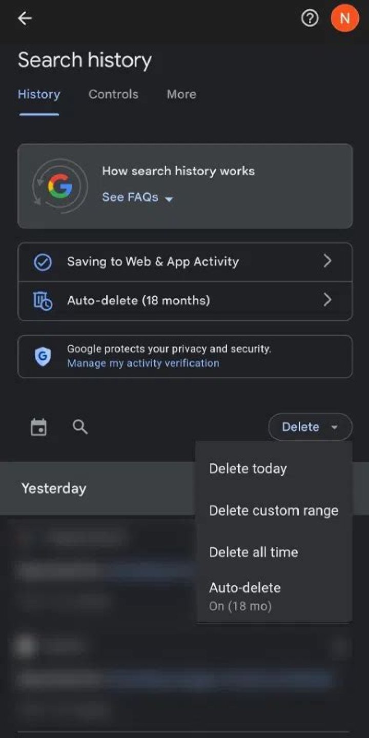 Can anyone see your Google search history?