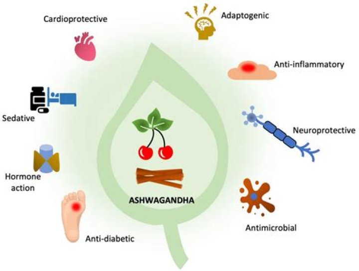 Can ashwagandha cause adrenal crisis?